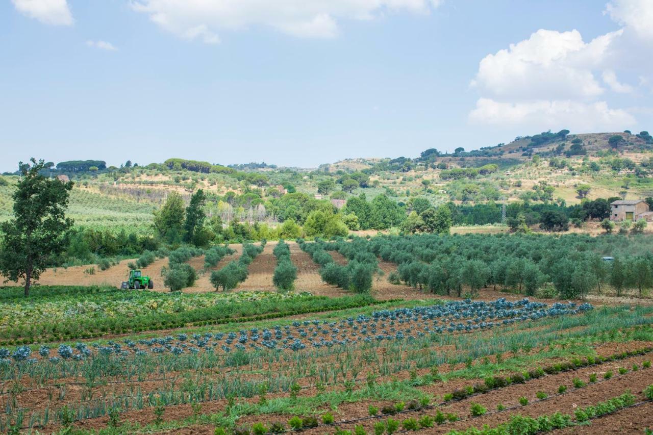 Leano Agriresort Пиаца Армерина Екстериор снимка