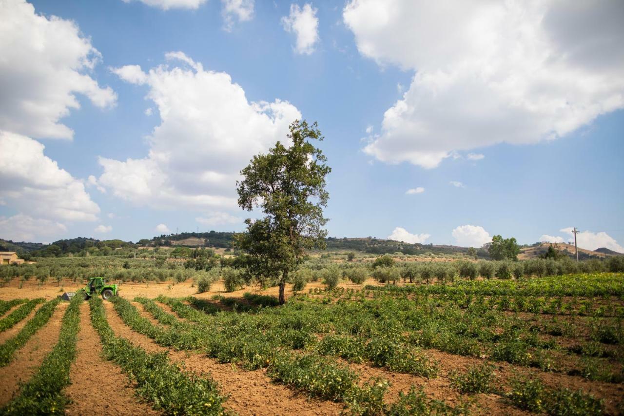 Leano Agriresort Пиаца Армерина Екстериор снимка